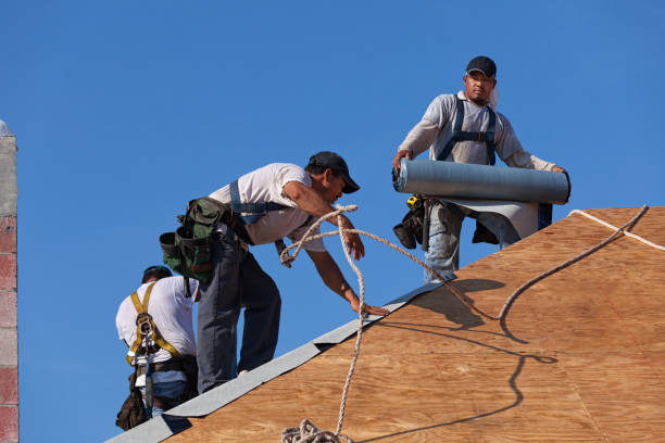 Best Gutter Installation and Roofing  in Mountain Top, PA